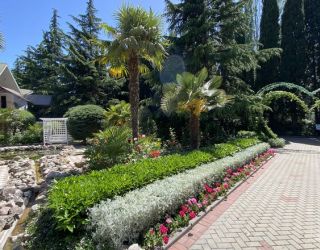 *Демерджи санаторий Крым