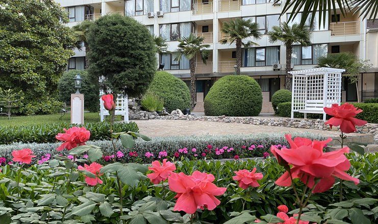 *Демерджи санаторий Крым